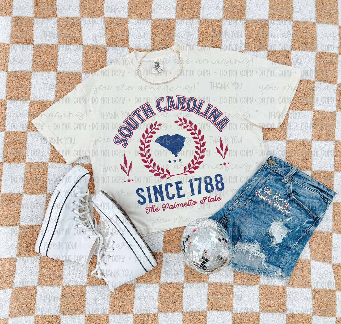 South Carolina - Varsity - PNG MAY 2025