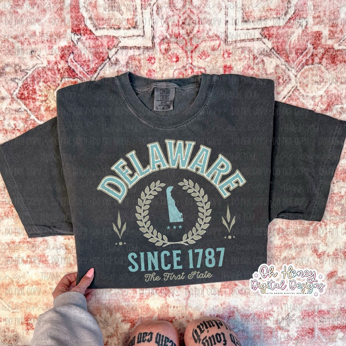 Delaware - Varsity - PNG MAY 2025