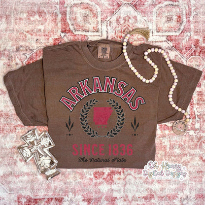 Arkansas - Varsity - PNG MAY 2025