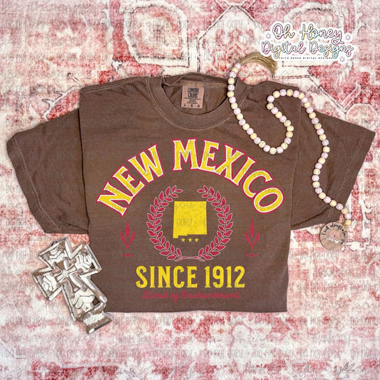 New Mexico - Varsity - PNG MAY 2025