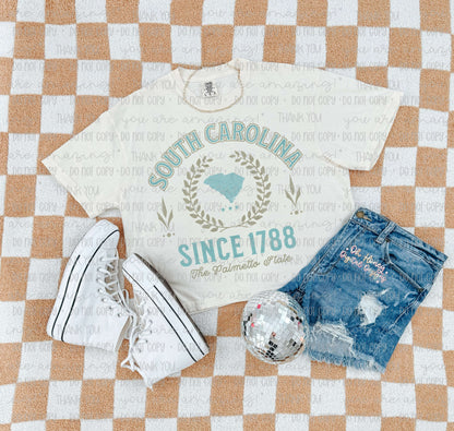 South Carolina - Varsity - PNG MAY 2025