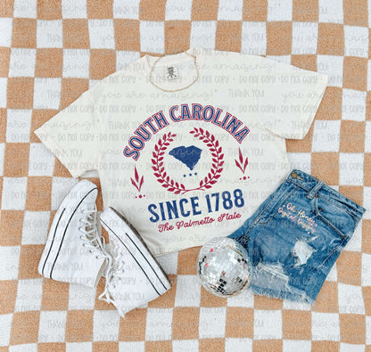 South Carolina - Varsity - PNG MAY 2025